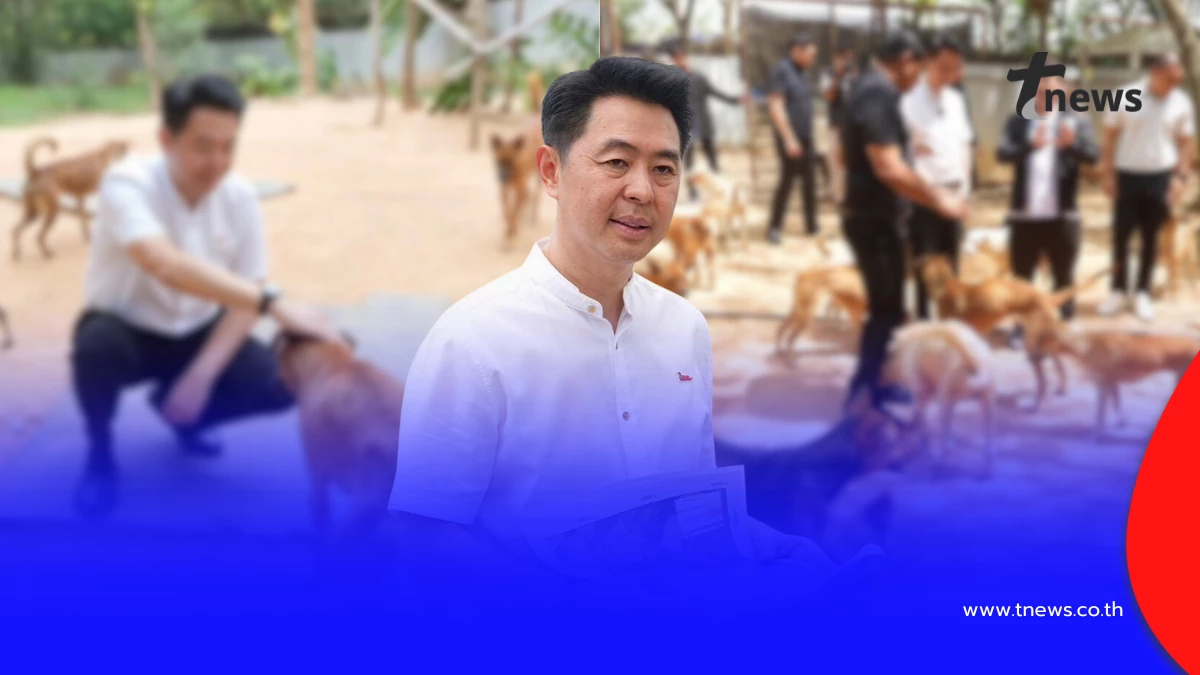 นายกพัทยาลุยตรวจศูนย์พักพิงสุนัข เตรียมขยายพื้นที่ 30 ไร่