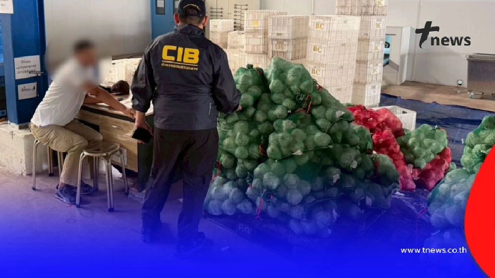 ไม่แปลกใจ มะพร้าวไทยพัง เปิดโปงแผนกินรวบ ล้งนอมินีจีน กดราคา 2 บาท