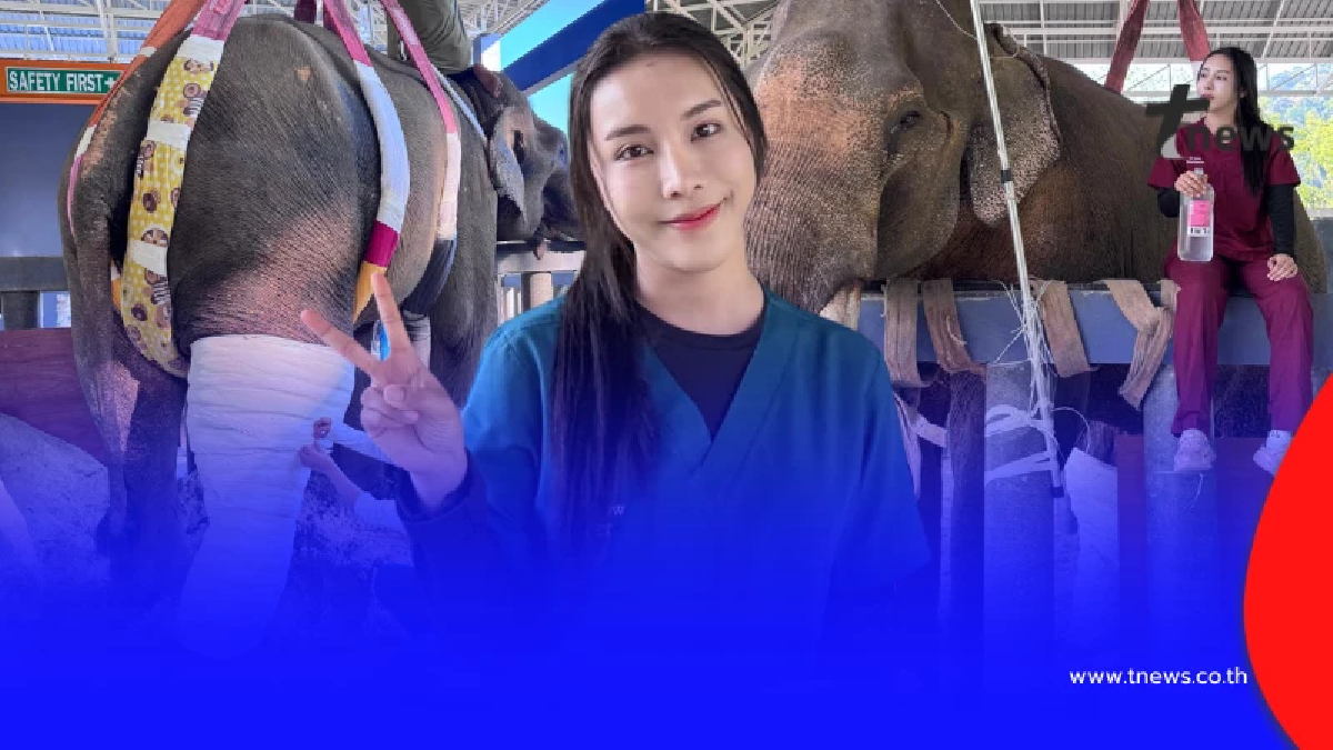 บีบหัวใจ หมอโบว์ ยอมรับตรงๆ อาการ "พลายเดียว" ครบ 1 เดือน น่าห่วงมาก