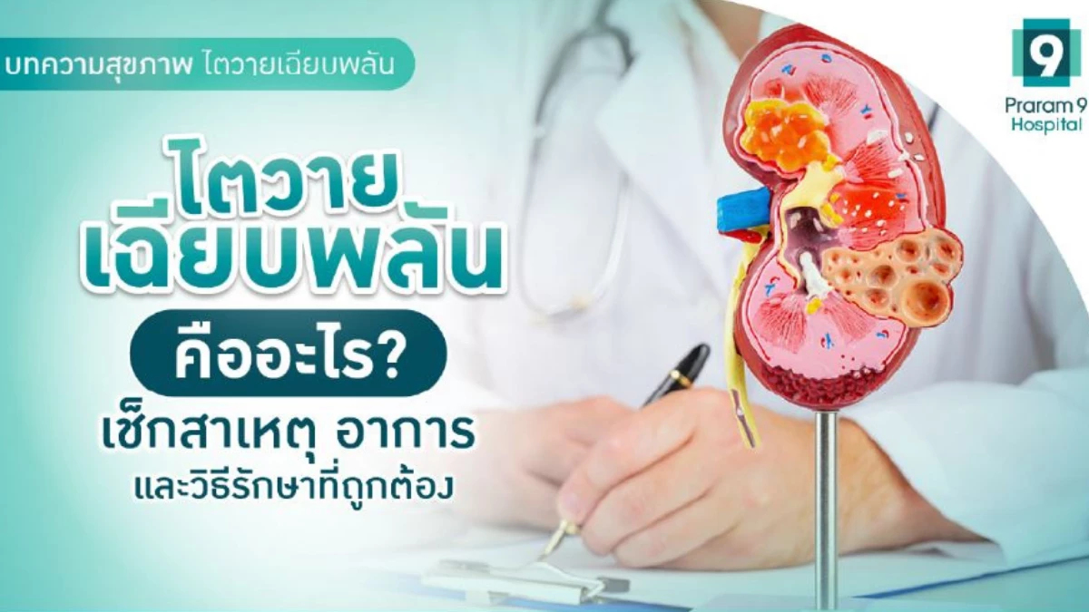 รู้จักไตวายเฉียบพลัน (Acute Kidney Injury) ป้องกันก่อนจะสาย!