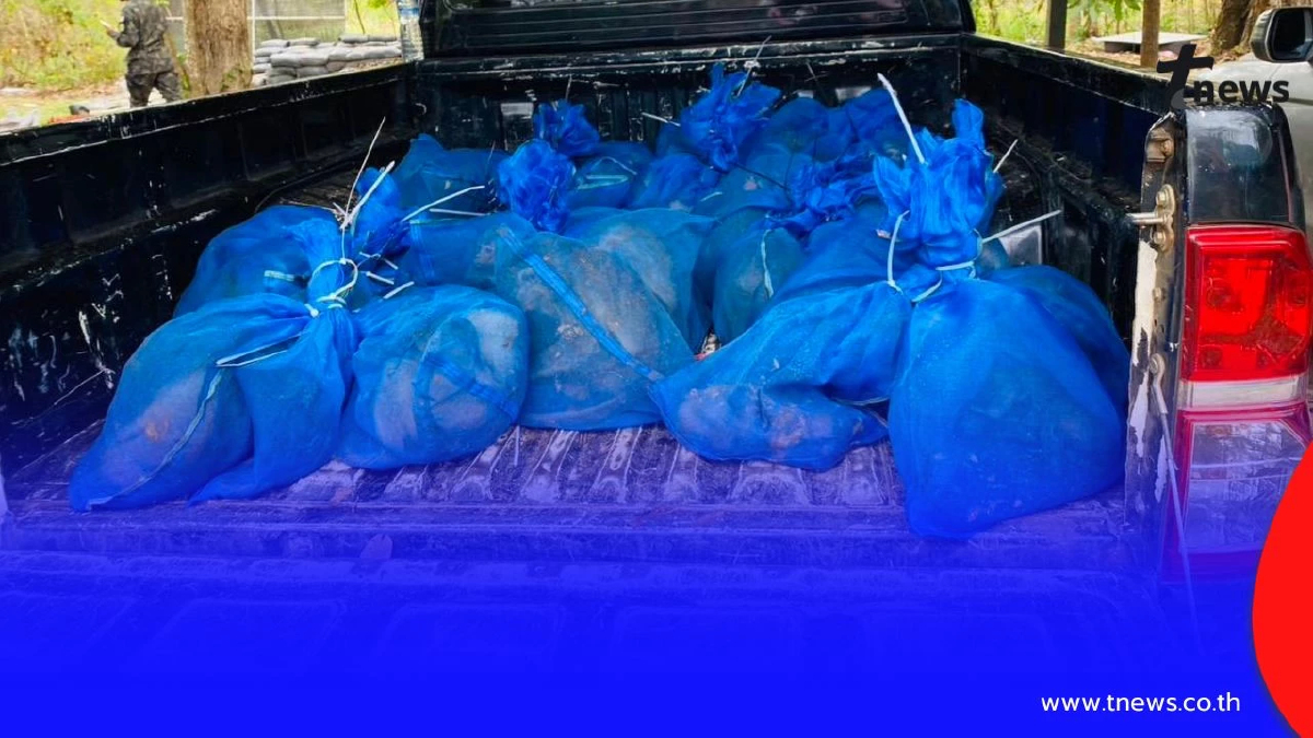 บุกยึดลิงแสม 51 ตัว ริมชายแดนอรัญประเทศ ซุกถุงตาข่ายเตรียมลอบขน