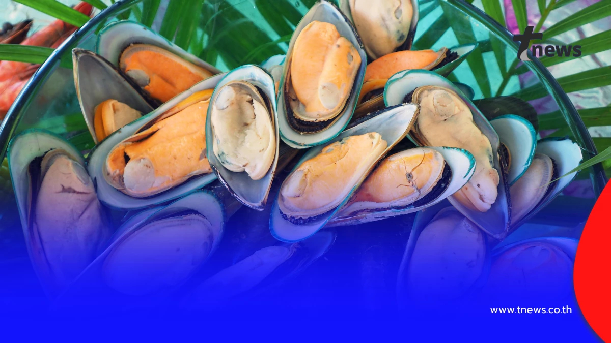ไขข้อสงสัย! หอยแมลงภู่สีส้ม vs สีขาว ต่างกันยังไง สีไหนอร่อยกว่า?