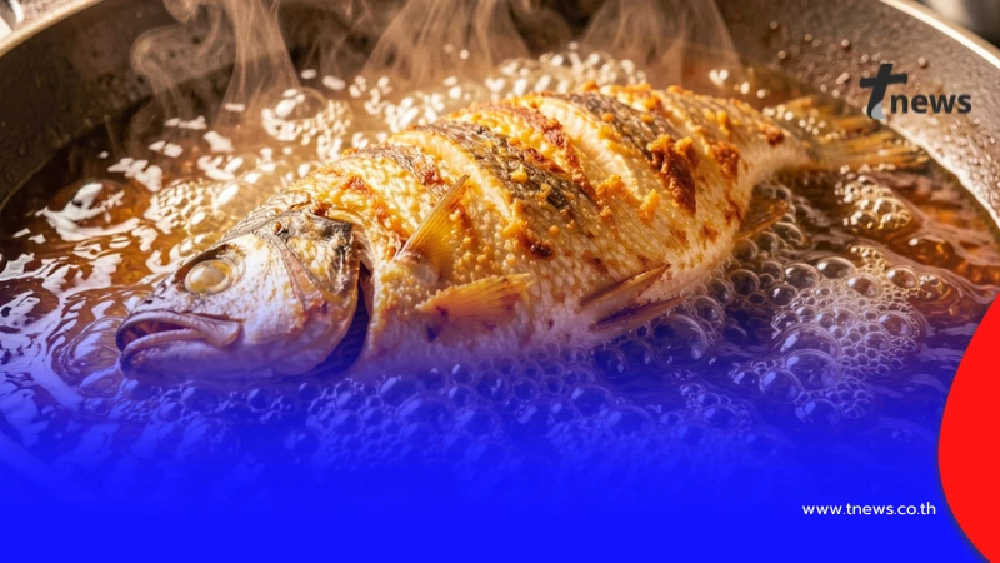 เข้าใจผิดหมด รู้แล้ว "น้ำมัน" ใช้ซ้ำได้กี่ครั้ง หมอเฉลยถึงบางอ้อ