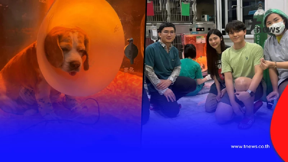 แห่ส่งกำลังใจสนั่น เปิดอาการล่าสุด "มู่ทู่" หลังผ่าตัด มะเร็งตับ