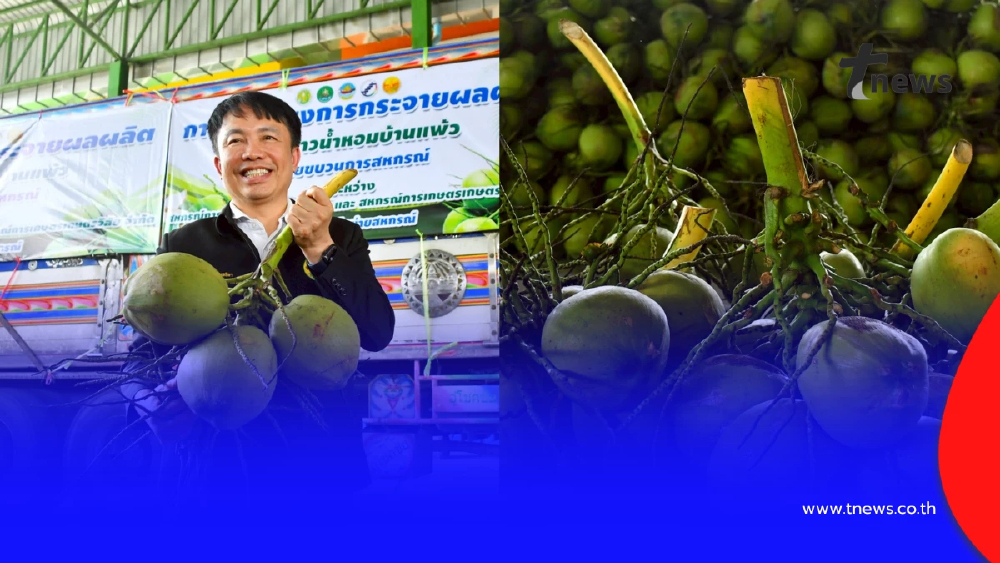 สหกรณ์หนุนล้งกลางมะพร้าวน้ำหอม ปลดแอกล้งจีนฮั้วกดราคา 2 บาท