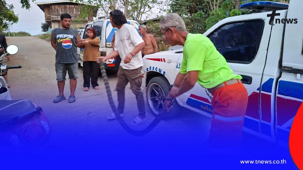 ผงะ! จงอางยักษ์บุกครัว ยาวเกือบ 3 เมตร กู้ภัยจับปล่อยคืนธรรมชาติ