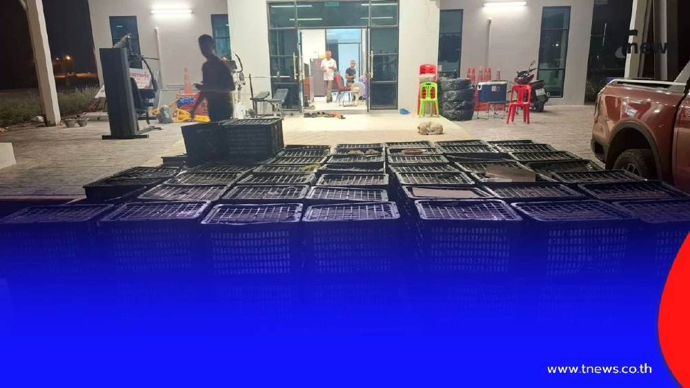 ทางหลวง M6 จับกระบะขนอะโวคาโดเถื่อน 2.5 ตัน คนขับไร้เอกสารนำเข้า