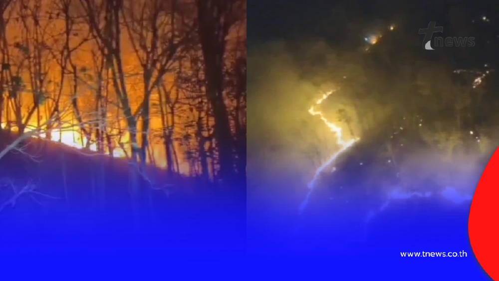 หลวงพ่อหนักใจ! ชาวบ้านเผาป่าหาผักหวาน ทำดอยม่วงคำวอด 60 ไร่