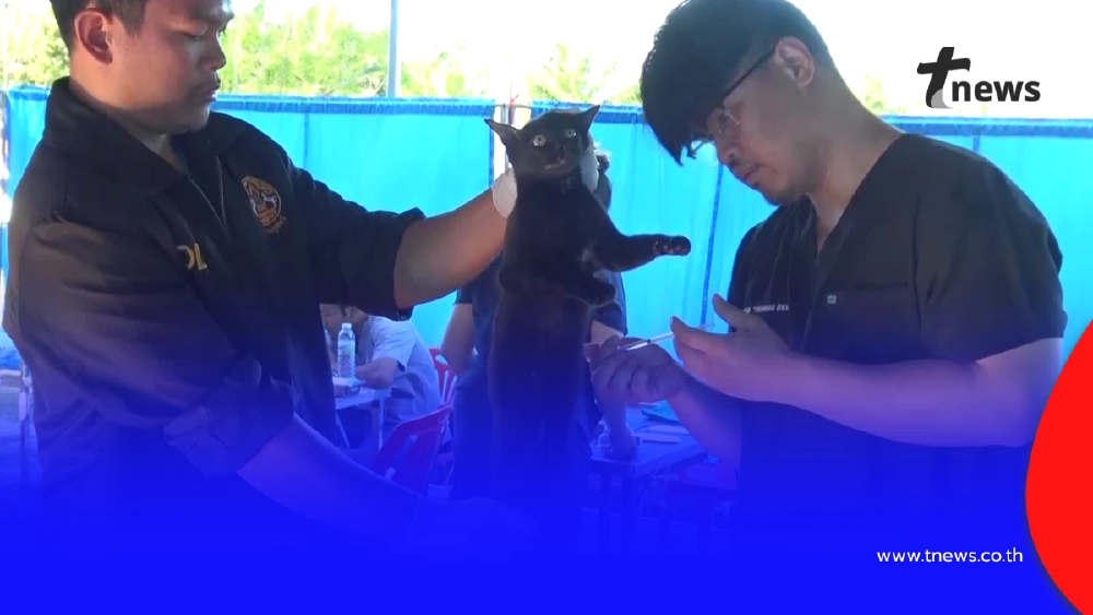 ปศุสัตว์บึงกาฬรุกทำหมันสัญจรฟรี เพื่อสัตว์ด้อยโอกาส