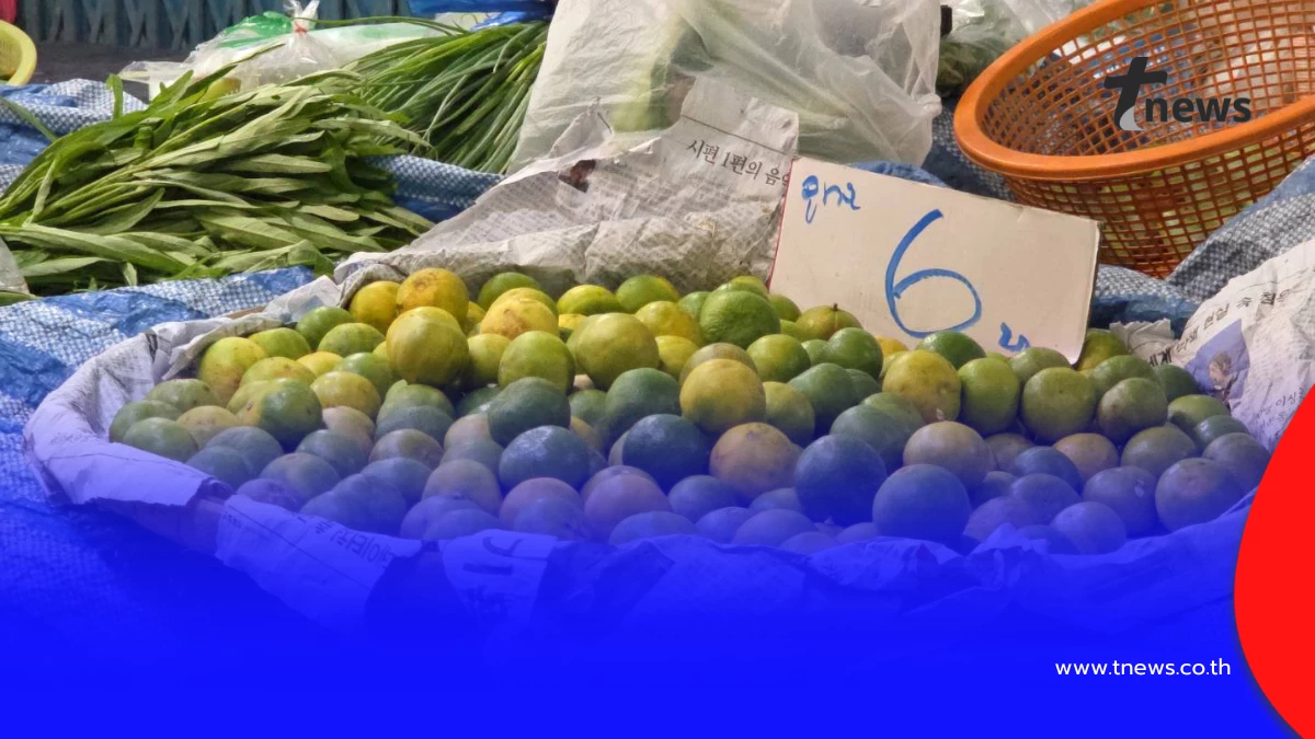 อุทัยฯ มะนาวพุ่ง 6 บาท ผักสดราคาพุ่งพรวด หวั่นน้ำมันขึ้นซ้ำเติม