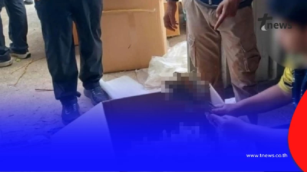 ทลายโกดังลับย่านลำลูกกา ยึดซากตุ๊กแกกว่า 1.2 แสนตัว เตรียมส่งออกจีน