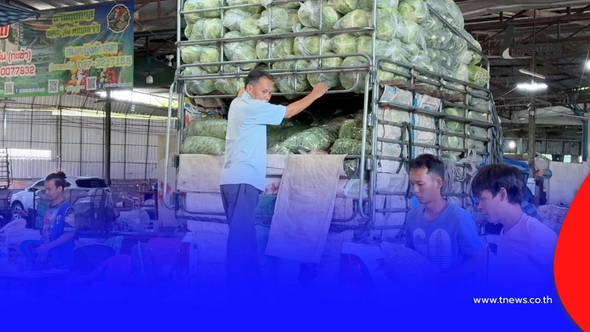 พ่อค้าผักวอนรัฐพยุงราคาดีเซล หวั่นต้นทุนขนส่งพุ่งทำผักแพง