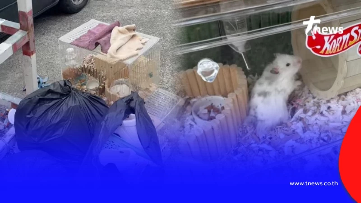 เวทนา 2 ชีวิตน้อยๆถูกโยนทิ้งกองขยะ เห็นแววตายิ่งบีบหัวใจ