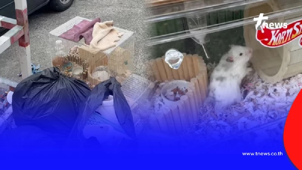 เวทนา 2 ชีวิตน้อยๆถูกโยนทิ้งกองขยะ เห็นแววตายิ่งบีบหัวใจ