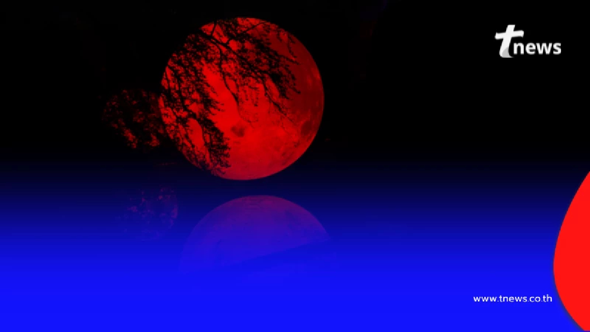 พลาดรออีก 2 ปี "พระจันทร์สีเลือด" วันมาฆบูชา เปิด 9 ทริกชมคืนนี้