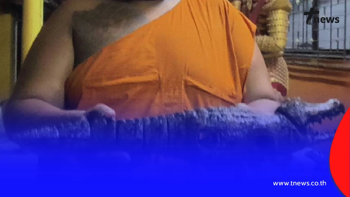 พระผงะเจอจระเข้โผล่คลอง รีบแจ้งเจ้าอาวาส ที่แท้ความจริงทำวงแตก