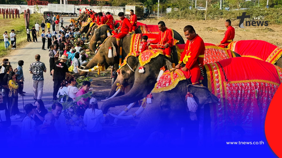 เชิดชูเกียรติช้างไทย! จัดบวงสรวง-เลี้ยงโต๊ะจีนผลไม้ชุดใหญ่