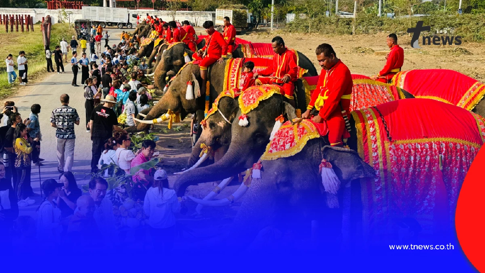 เชิดชูเกียรติช้างไทย! จัดบวงสรวง-เลี้ยงโต๊ะจีนผลไม้ชุดใหญ่