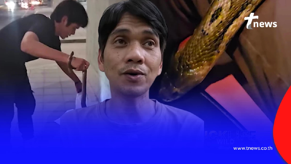 "นิค อสรพิษวิทยา" โต้ดราม่างูเห่าหลุดในรถ ชัดๆเลย จริงหรือจัดฉาก
