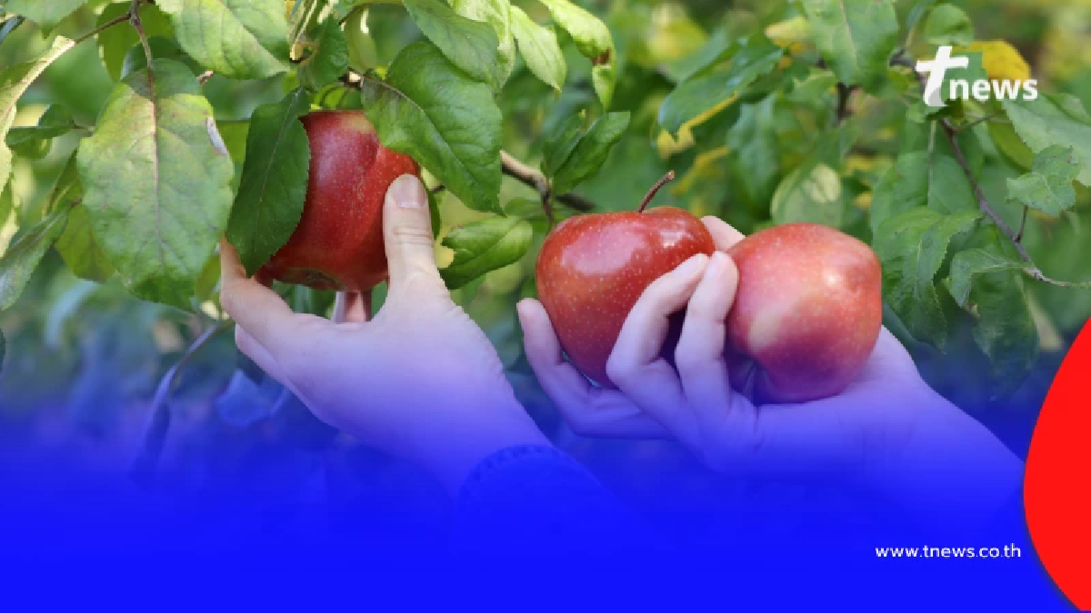 รัฐบาลวอนคนไทยในอิสราเอล "เร่งกลับไทย" ก่อนสถานการณ์บานปลาย