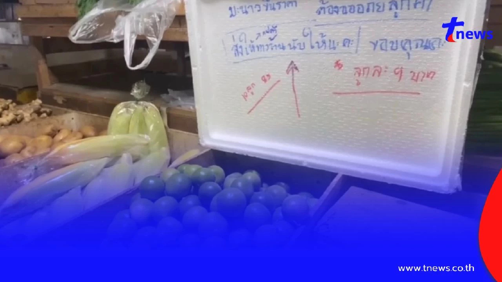 มะนาวพุ่งไม่หยุด! แม่ค้าโอดต้นทุนพุ่ง ลูกค้าหด ซื้อแค่ลูกเดียว