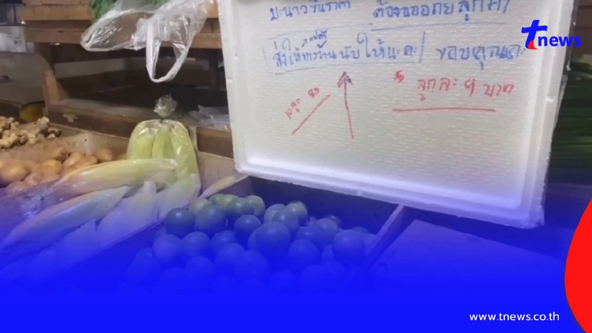 มะนาวพุ่งไม่หยุด! แม่ค้าโอดต้นทุนพุ่ง ลูกค้าหด ซื้อแค่ลูกเดียว