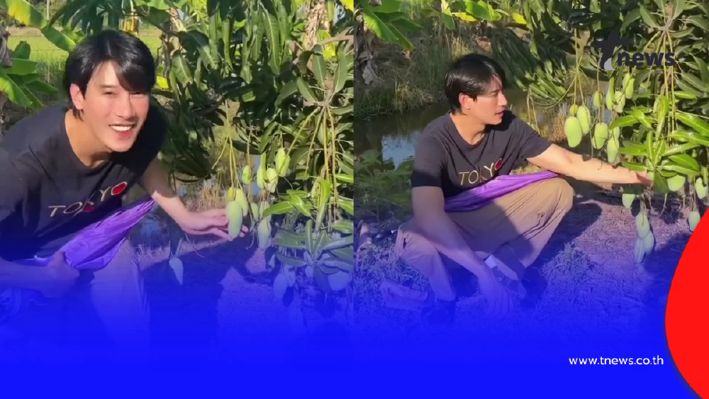 เคน ภูภูมิ เปิดสวนผลไม้ออร์แกนิก ลงมือปลูกเองทุกขั้นตอน
