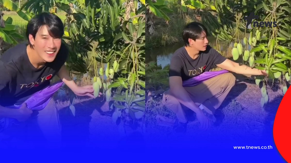 เคน ภูภูมิ เปิดสวนผลไม้ออร์แกนิก ลงมือปลูกเองทุกขั้นตอน