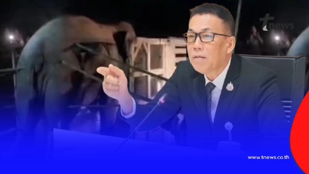 โดนแล้ว 2 รีสอร์ท-คาเฟ่ร้องย้าย สีดอหูพับ กรมป่าไม้แฉความผิดยับ