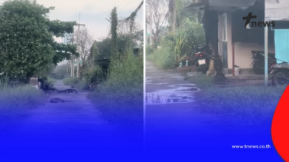 แห่ถามพิกัด สาวขับรถเข้าซอยเจอเดินยั้วเยี้ย นึกว่ายุคจูราสสิค