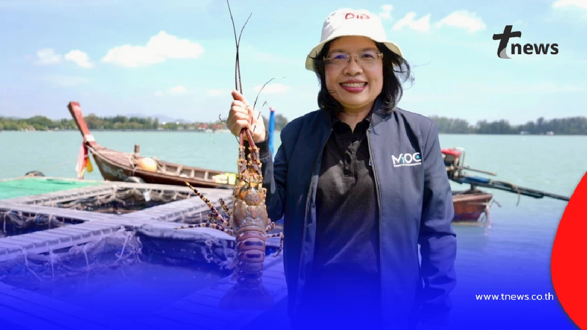 กรมทรัพย์สินทางปัญญา บุกแพ"กุ้งมังกร 7 สีภูเก็ต"ปักหมุดแลนด์มาร์กท่องเที่ยวเชิงอาหาร