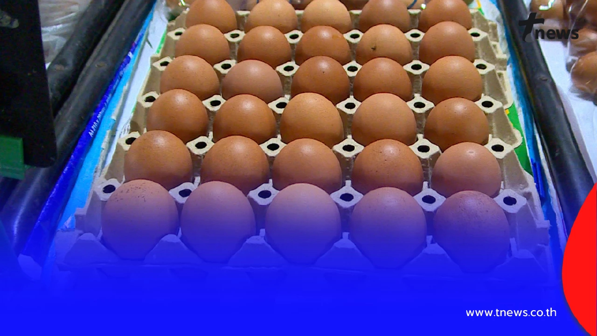 16 บาทต่อแผง! ราคาไข่ไก่พุ่งรับหน้าร้อน เบอร์ 0 แตะแผงละ 125 บาท