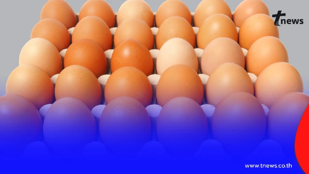 เริ่มวันจันทร์ที่ 16 มี.ค.นี้ แจ้งปรับราคาไข่ไก่ขึ้น แผงละ 6 บาท