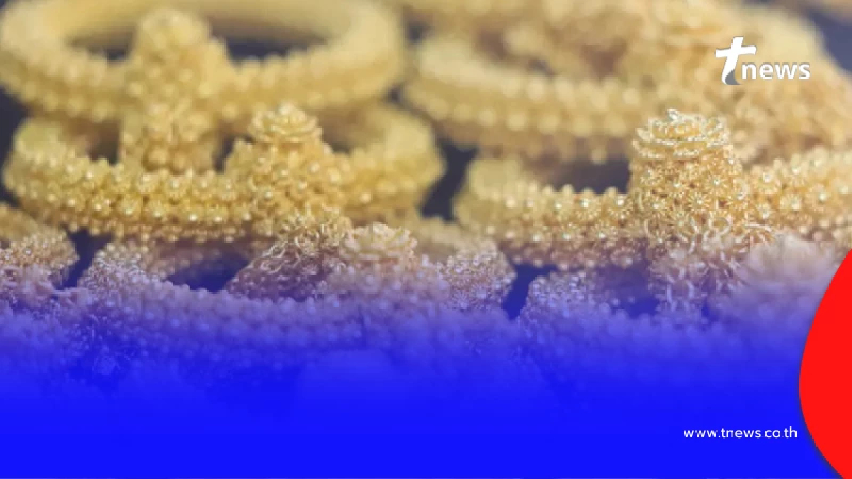 "ราคาทองวันนี้" ราคาทองล่าสุด 21 มี.ค. 69 เห็นแล้วใครจะอดใจไหว