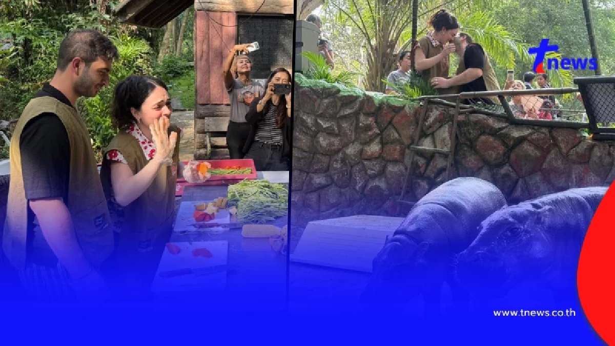 "เชฟอิตาลี" มาให้อาหารหมูเด้ง ก่อนสุดท้าย ทำคนเขินทั้งสวนสัตว์