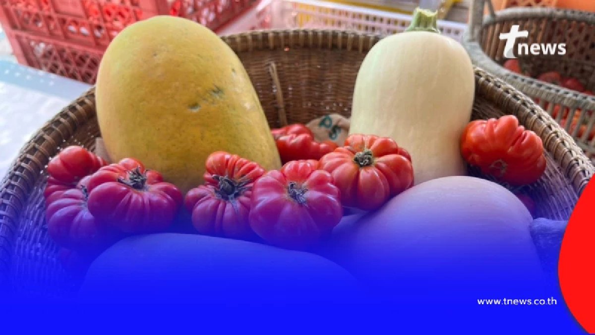 ชัยนาทโมเดล ปั้นเกษตรกรเป็นเศรษฐีใหม่ พัฒนาทักษะอาชีพยุค 2026