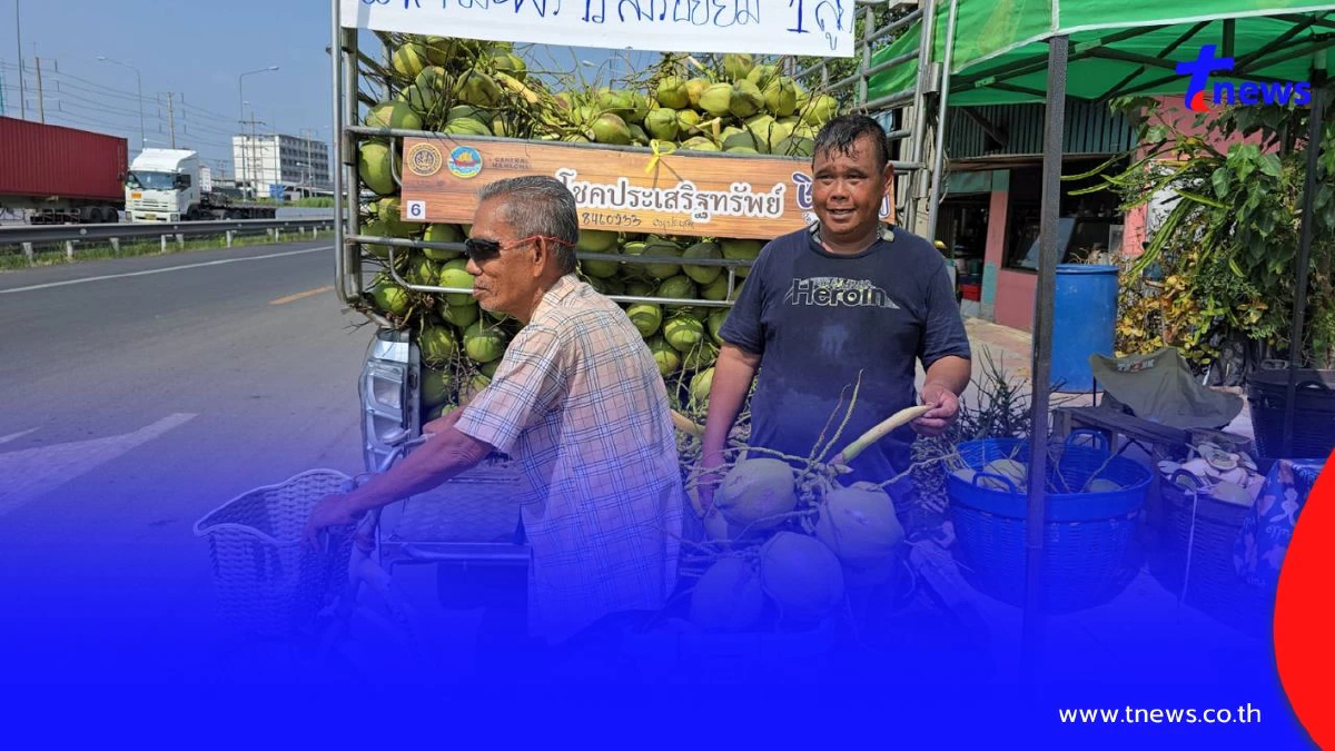 น้ำใจงาม! เจ้าของสวนมะพร้าวบ้านแพ้ว แจก 1,500 ลูก แลก "1 รอยยิ้ม"