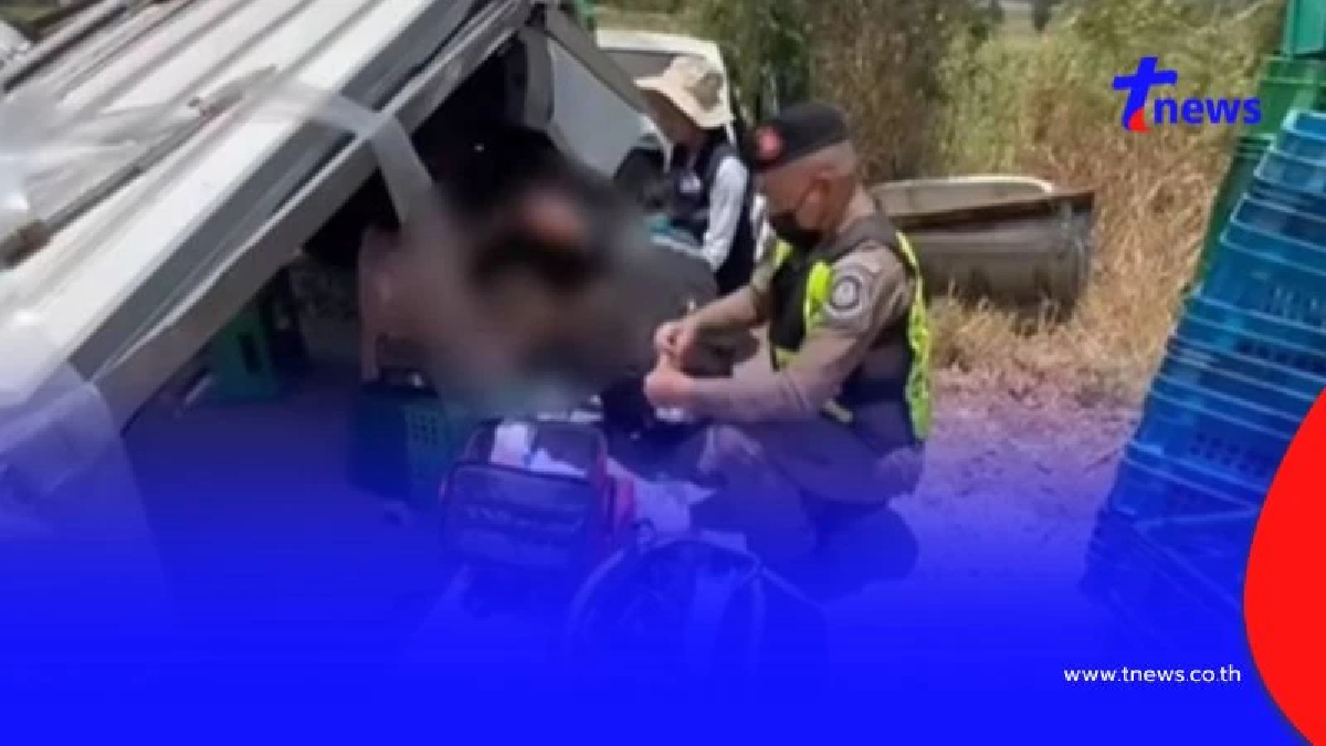 ระวังโชคชัย กระบะตู้ทึบชนเสาไฟฟ้า เจ็บ 2 ตำรวจทางหลวงเร่งช่วยเปิดทาง