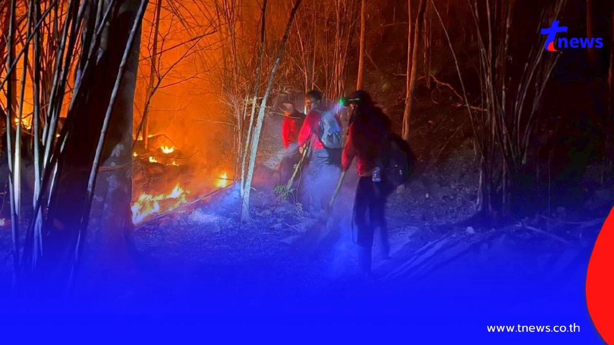 วิกฤติป่ามรดกโลก! ไฟไหม้ "แก่งกระจาน" เสียหายกว่า 1.1 หมื่นไร่