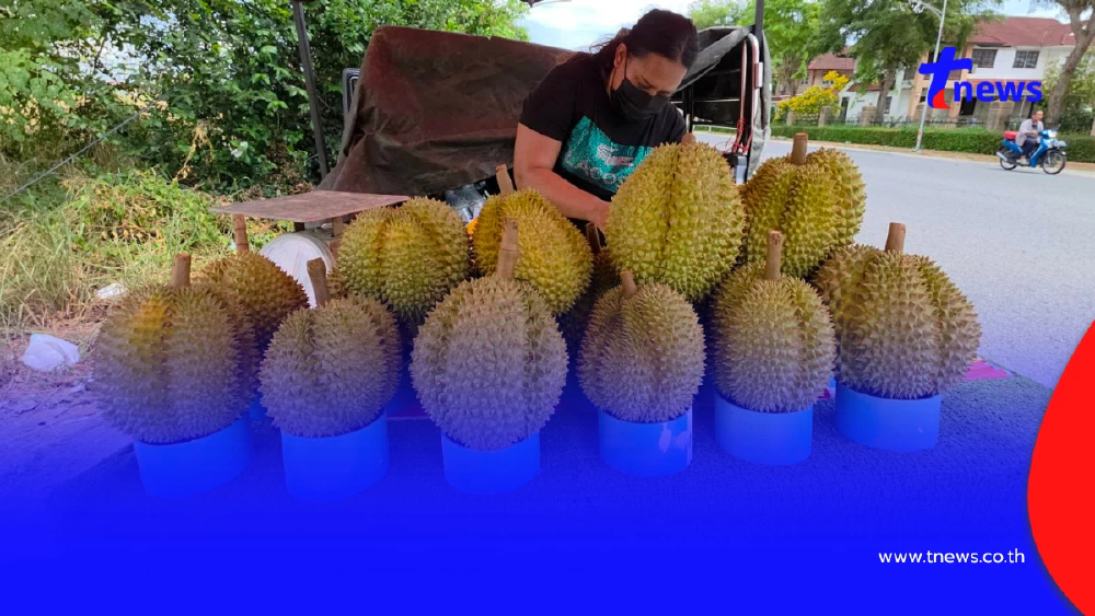 ทุเรียนร้อยเดียวทำพิษ! แม่ค้านั่งตบยุง ลูกค้าเมินรอเอฟออนไลน์