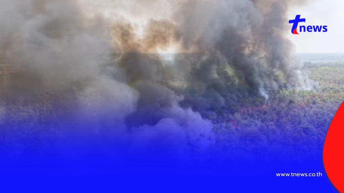 ไฟไหม้ป่าโคกหินลาดวอด 500 ไร่ สัตว์ป่าหนีตาย-คาดมือเผาหาของป่า