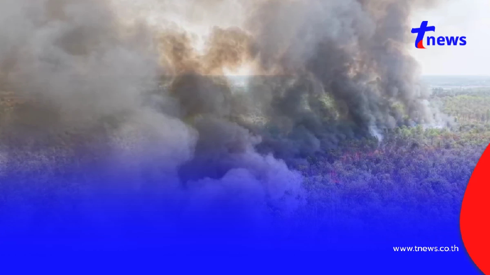 ไฟไหม้ป่าโคกหินลาดวอด 500 ไร่ สัตว์ป่าหนีตาย-คาดมือเผาหาของป่า
