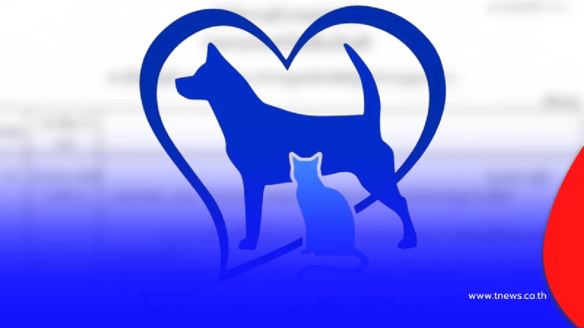 ดราม่าเดือด รพ.สัตวเปิด 5 ข้อโต้ ปมร้อน "น้องหมา" ดับ หลังผ่าตัด