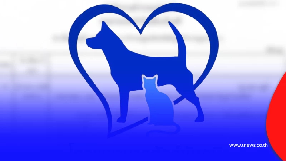 ดราม่าเดือด รพ.สัตวเปิด 5 ข้อโต้ ปมร้อน "น้องหมา" ดับ หลังผ่าตัด