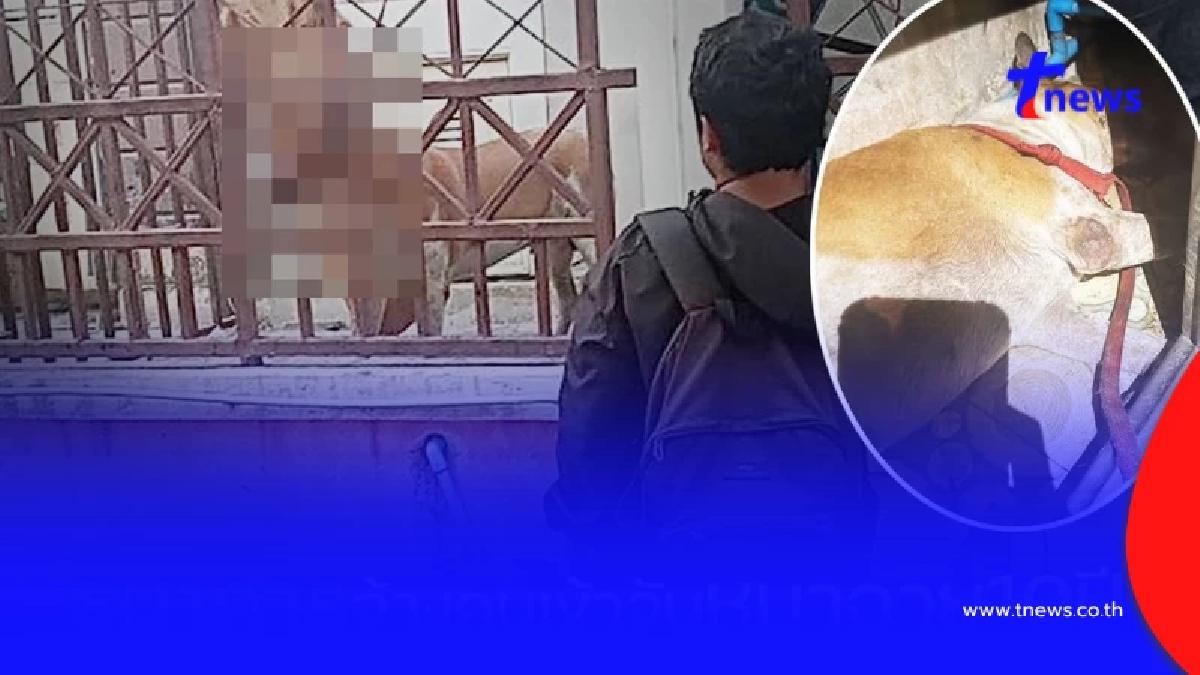 แจ้งจับ 3 ข้อหาหนัก พนง.ตามหนี้ จ้างคนจับหมาบ้านถูกยึด ทำดับคามือ