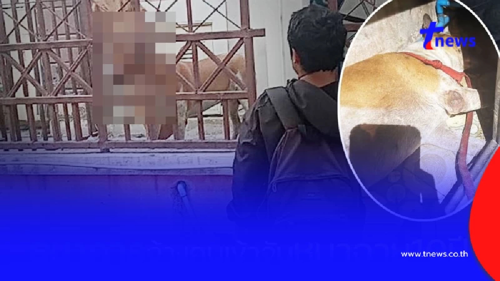 แจ้งจับ 3 ข้อหาหนัก พนง.ตามหนี้ จ้างคนจับหมาบ้านถูกยึด ทำดับคามือ