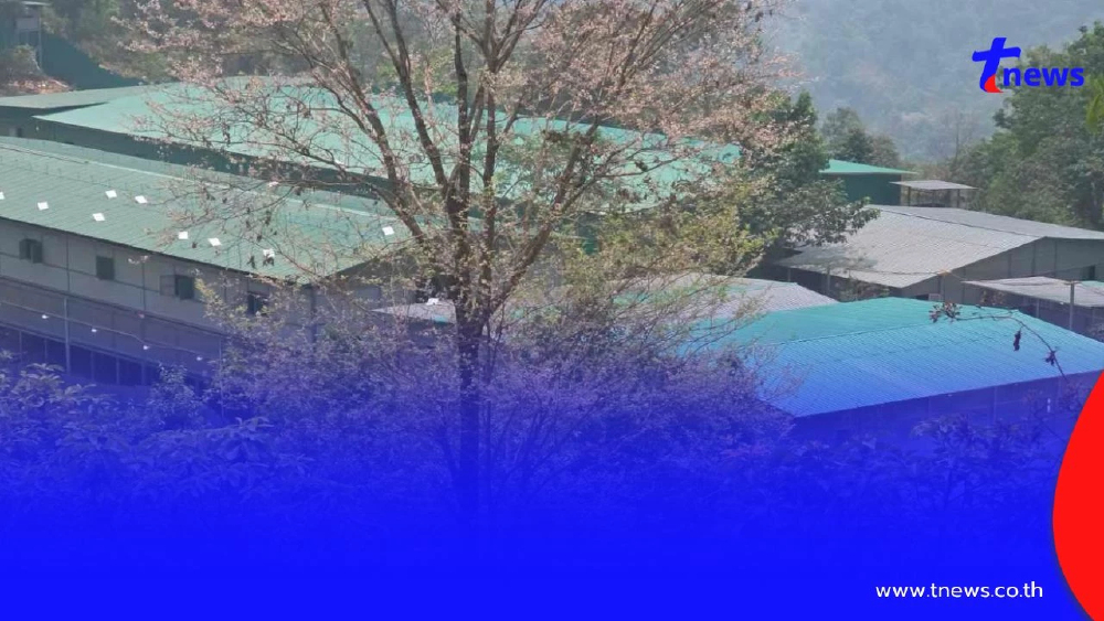 รวบจีน-ลาว! เมียนมาบุกทลายแก๊งสแกมเมอร์กลางป่าใกล้ท่าขี้เหล็ก