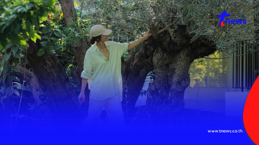 แอน ทองประสม เปิดมุมบ้านสุดร่มรื่น สวยเหมือนอยู่รีสอร์ต