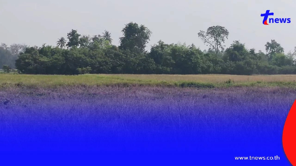 ชาวนาอุทัยฯ ยกหมู่บ้านหยุดทำนา สู้ต้นทุนไม่ไหว พิษน้ำมันแพง!