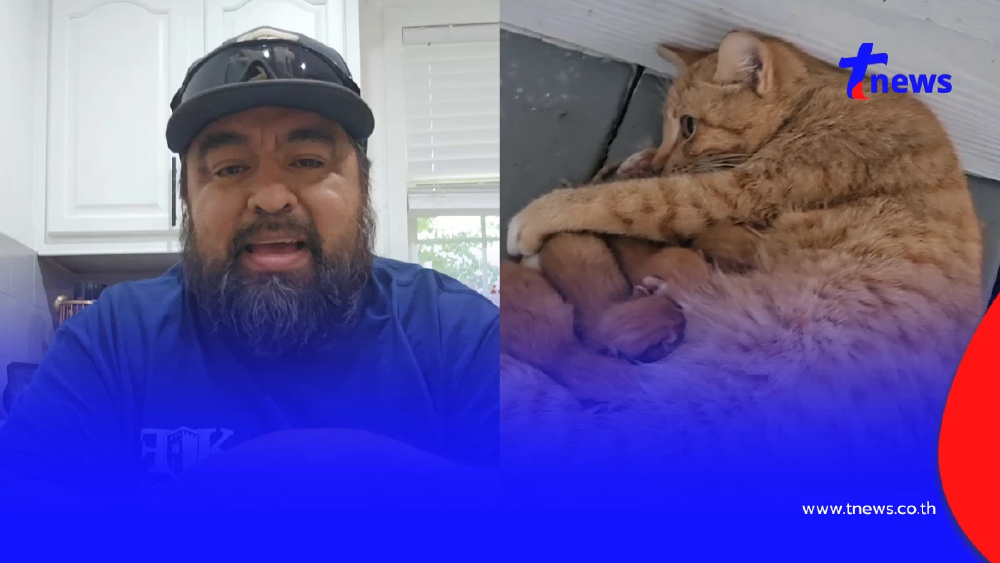 ชีวิตพลิก ชายเลี้ยงแมวจร กลับบ้านเจอ “หลาน 8 ตัว” ไม่ทันตั้งตัว